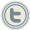 metasalary twitter link