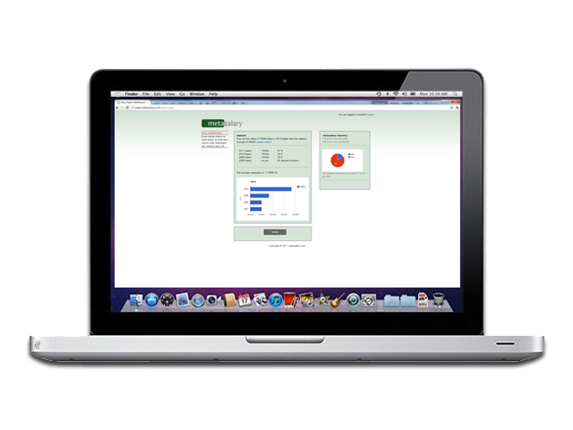 metasalary - granular salary information - screenshot